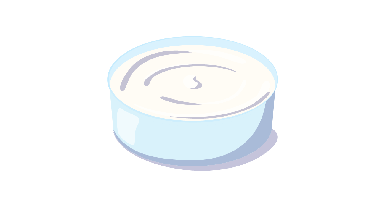 Yogurt